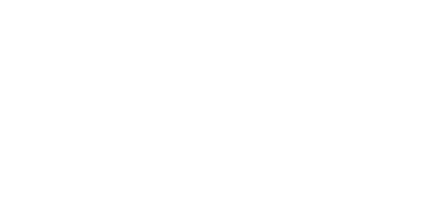 2ToneTintz logo